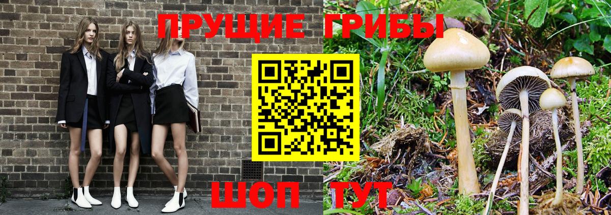 Псилоцибиновые грибы мухоморы Павловский Посад